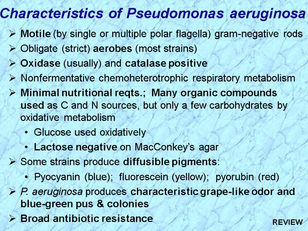 Motile (by single or multiple polar flagella) gram-negative rods Obligate (strict) aerobes (most strains)